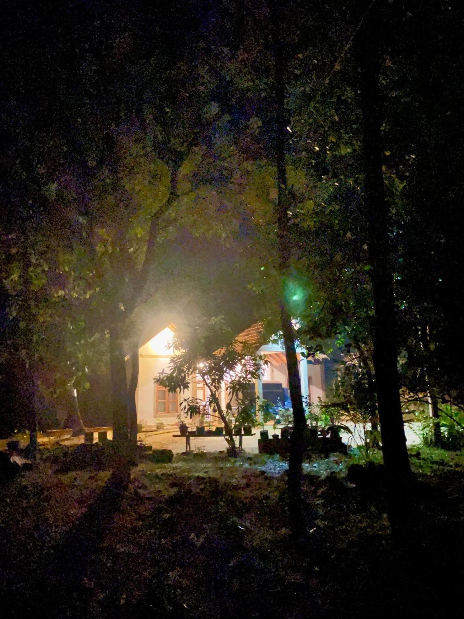 The Eco-Lodge 더 에코-롲지 Maho Exterior foto