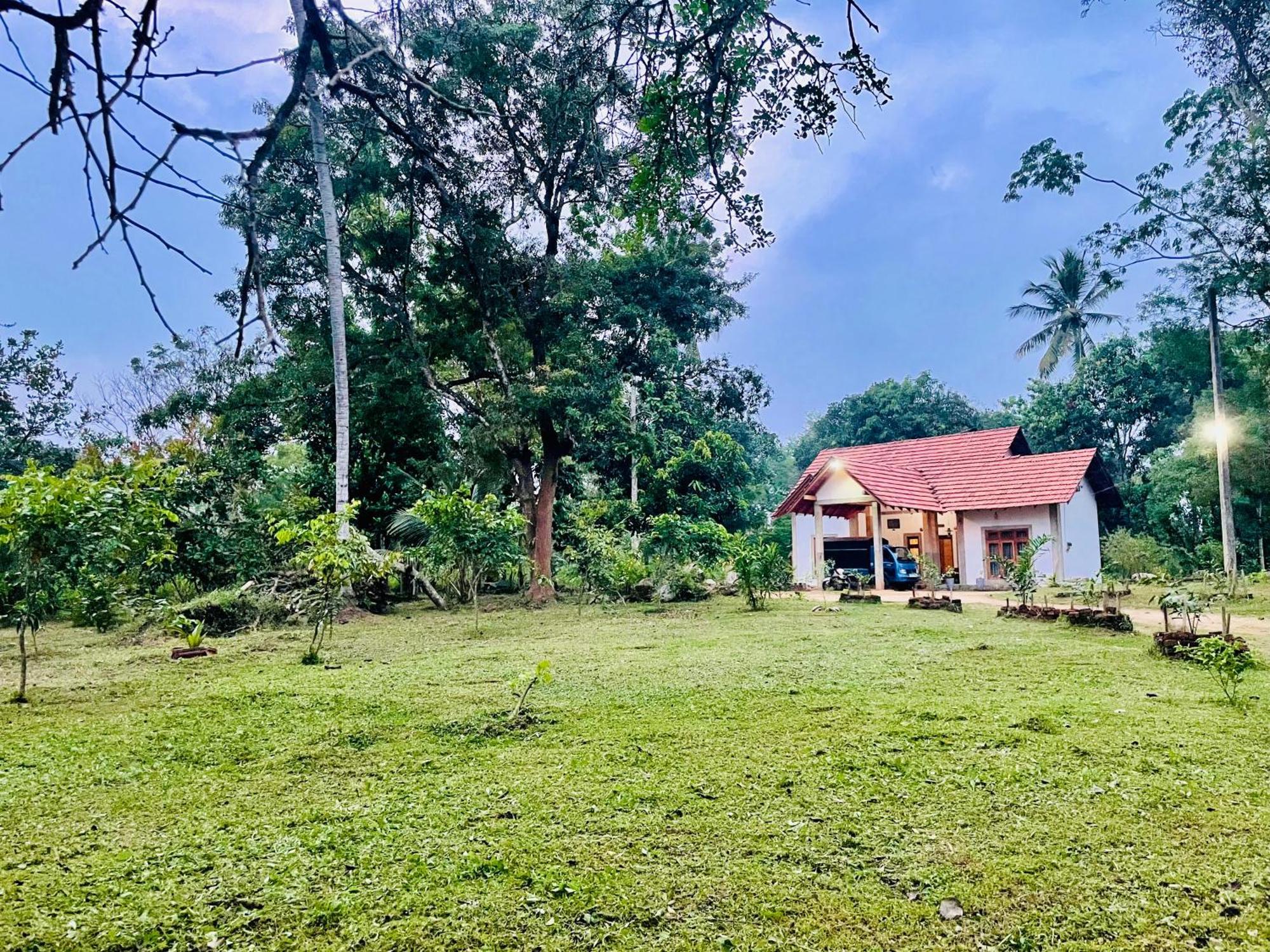 The Eco-Lodge 더 에코-롲지 Maho Exterior foto